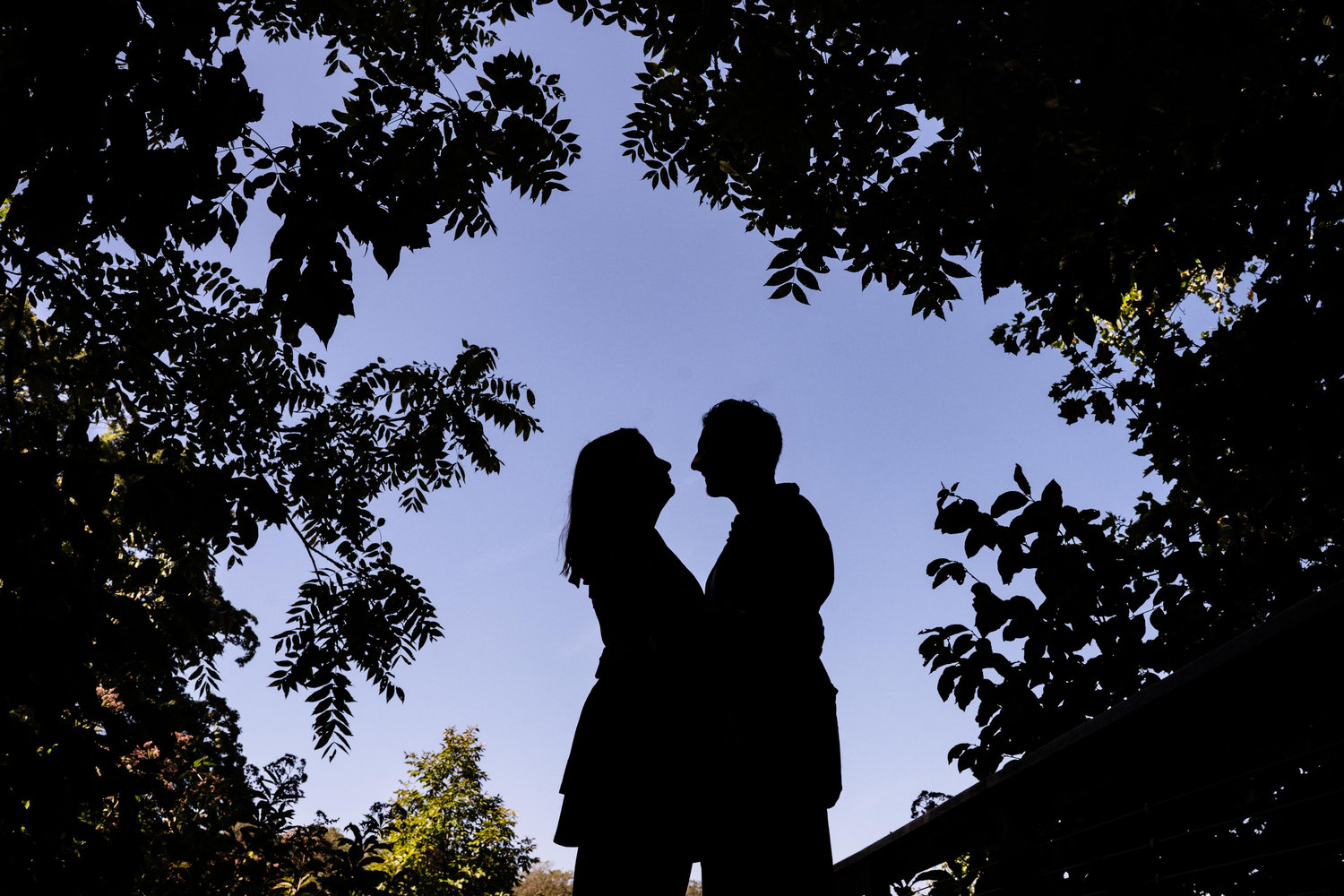 The Wedding Website of Felicia K. and Karim M.