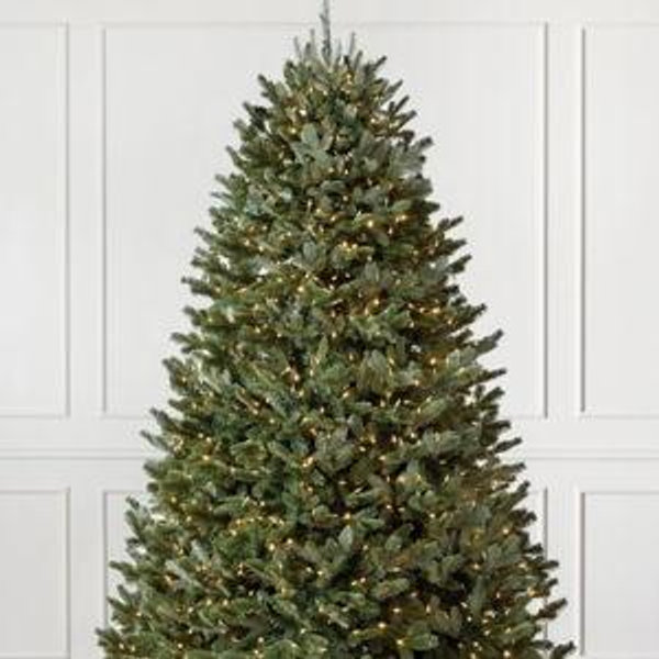 Our Christmas Tree