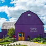 Closson Chase Vineyards