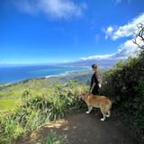 Waihee Ridge Trail