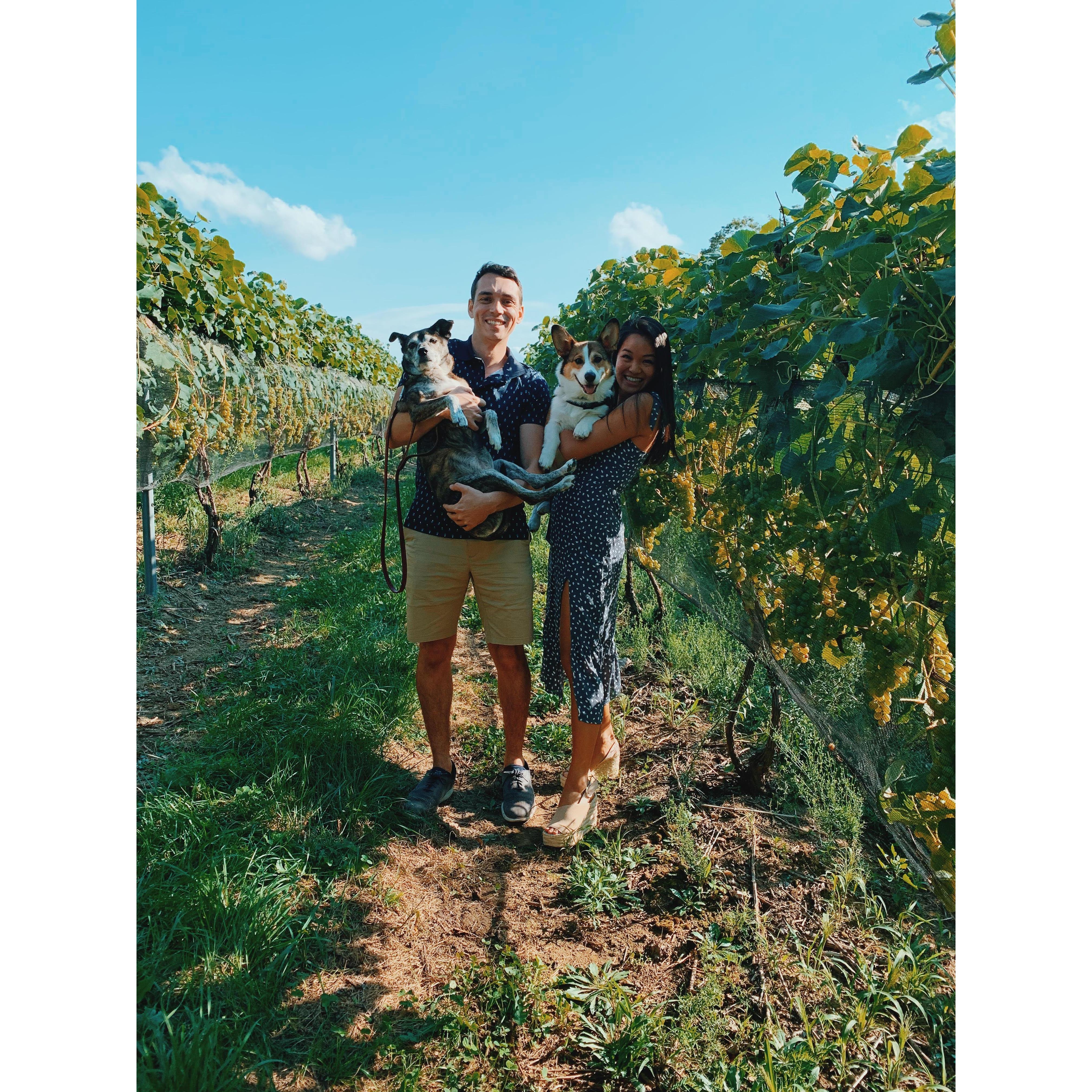 Adventures with Tiger & Flynn part 2