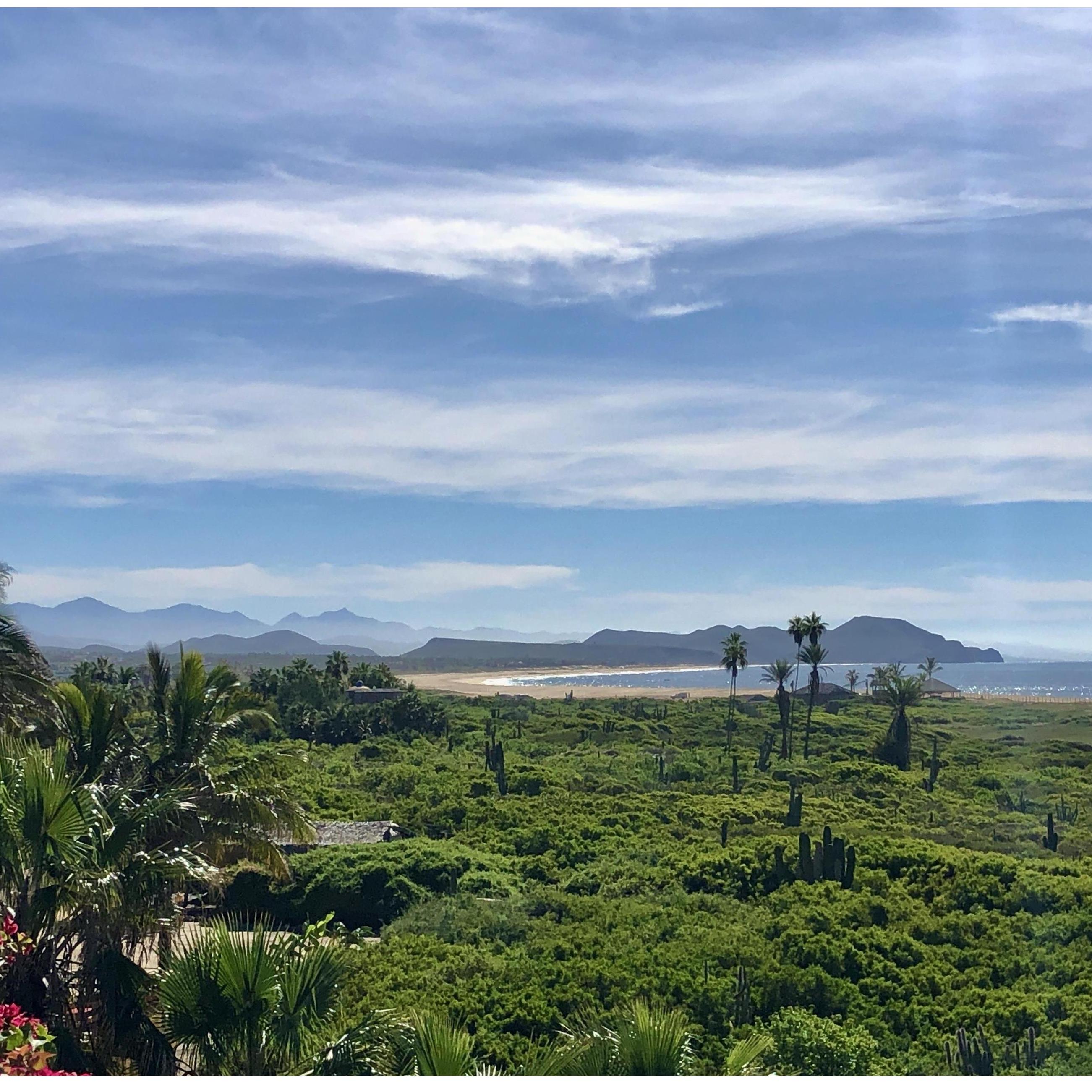Another view of Todos Santos!