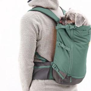 RUFFWEAR Hitch Hiker Backpack Dog Carrier, River Rock Green, Small - Chewy.com