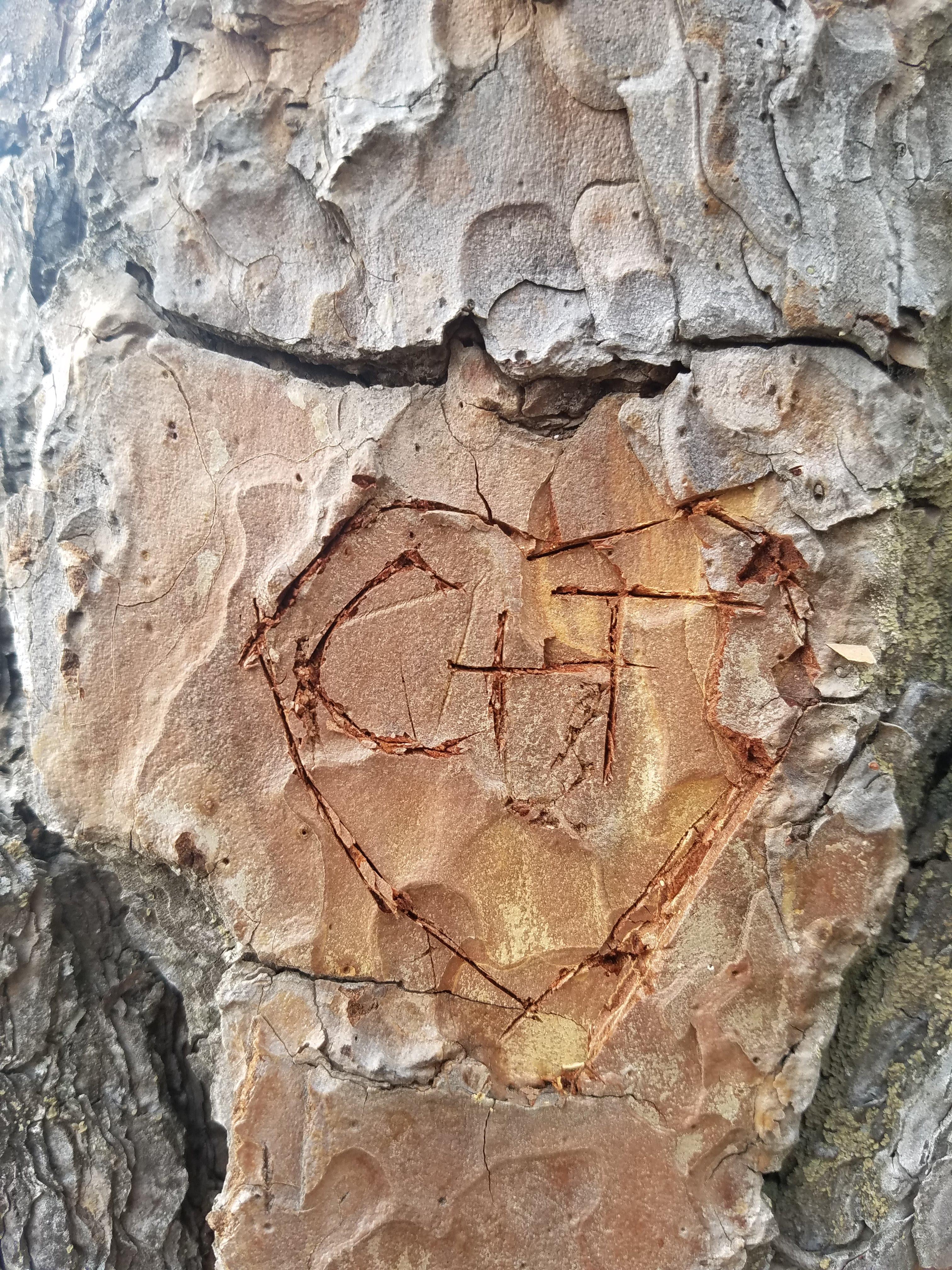 The Wedding Website of Taylor Budnack and Chad Barker