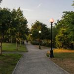Cal Anderson Park