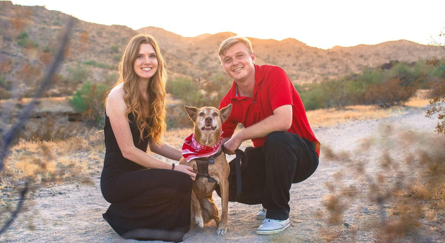 Amber Gregory and Matthew Seelig's Wedding Website