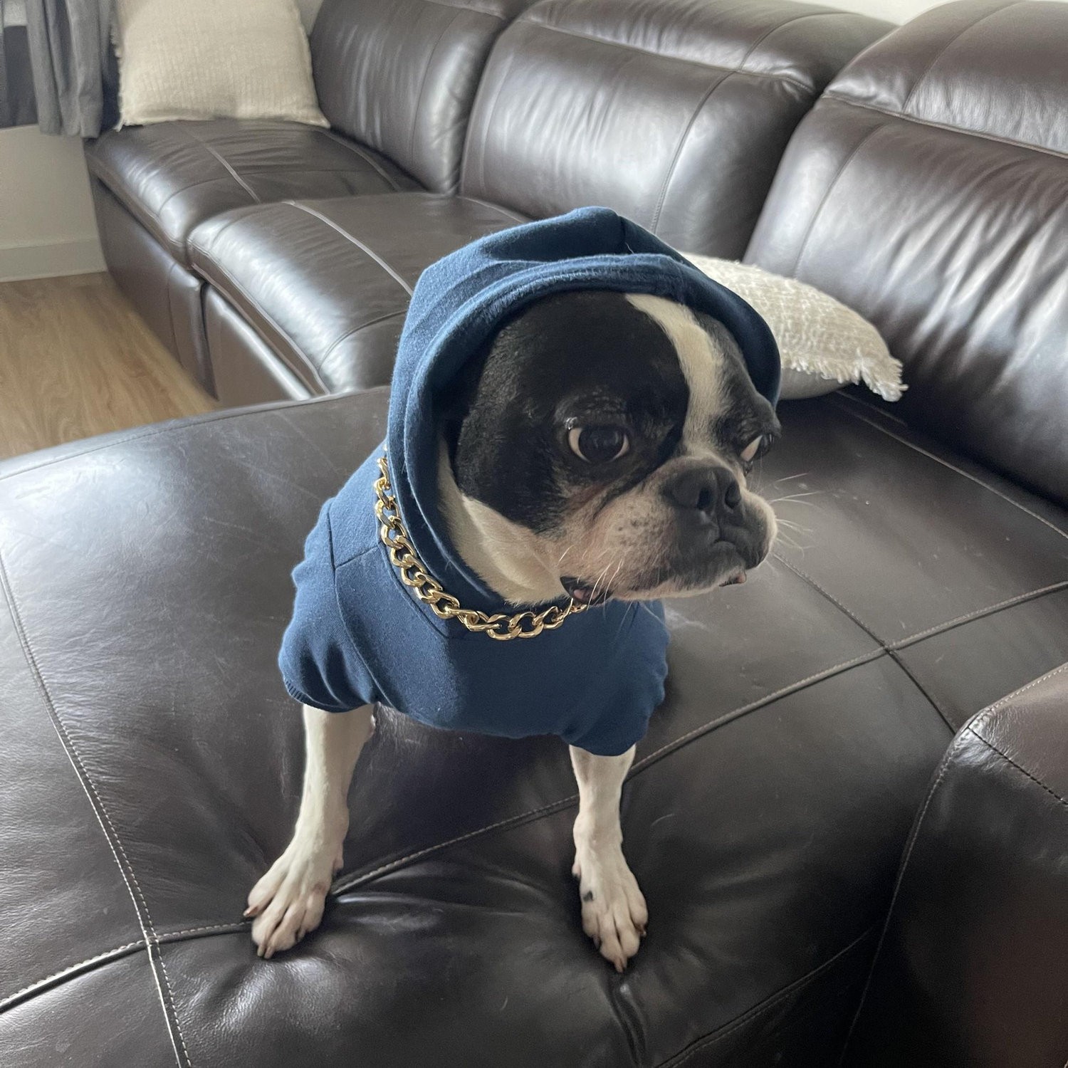 our big guy champ