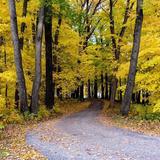 Big Hill Park