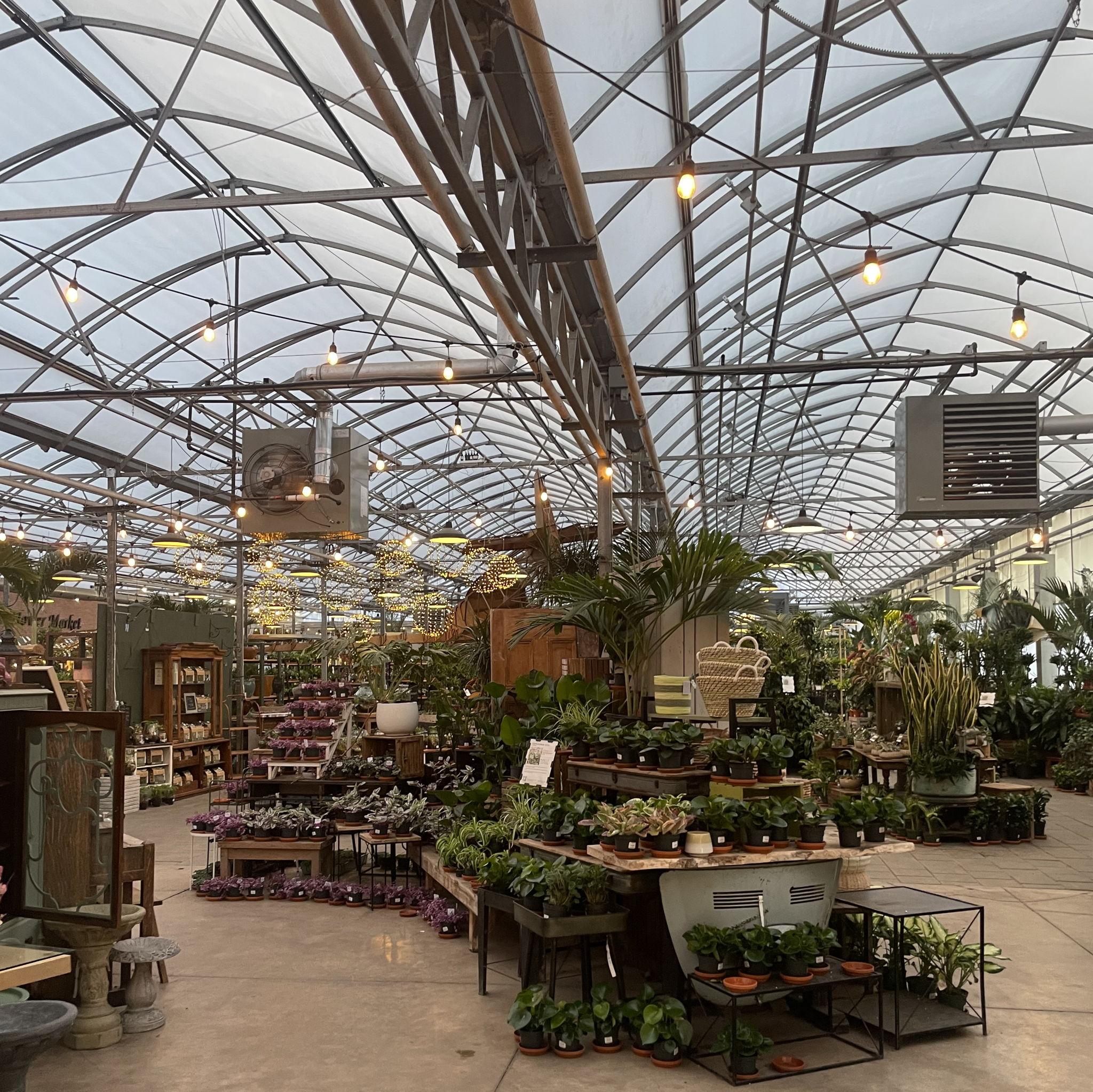 The Wattering Can : 3725 King St, Vineland, ON L0R 2C0, Canada