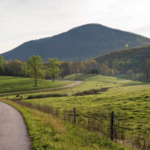 Yonah Mountain