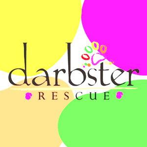 Donation to Darbster Rescue