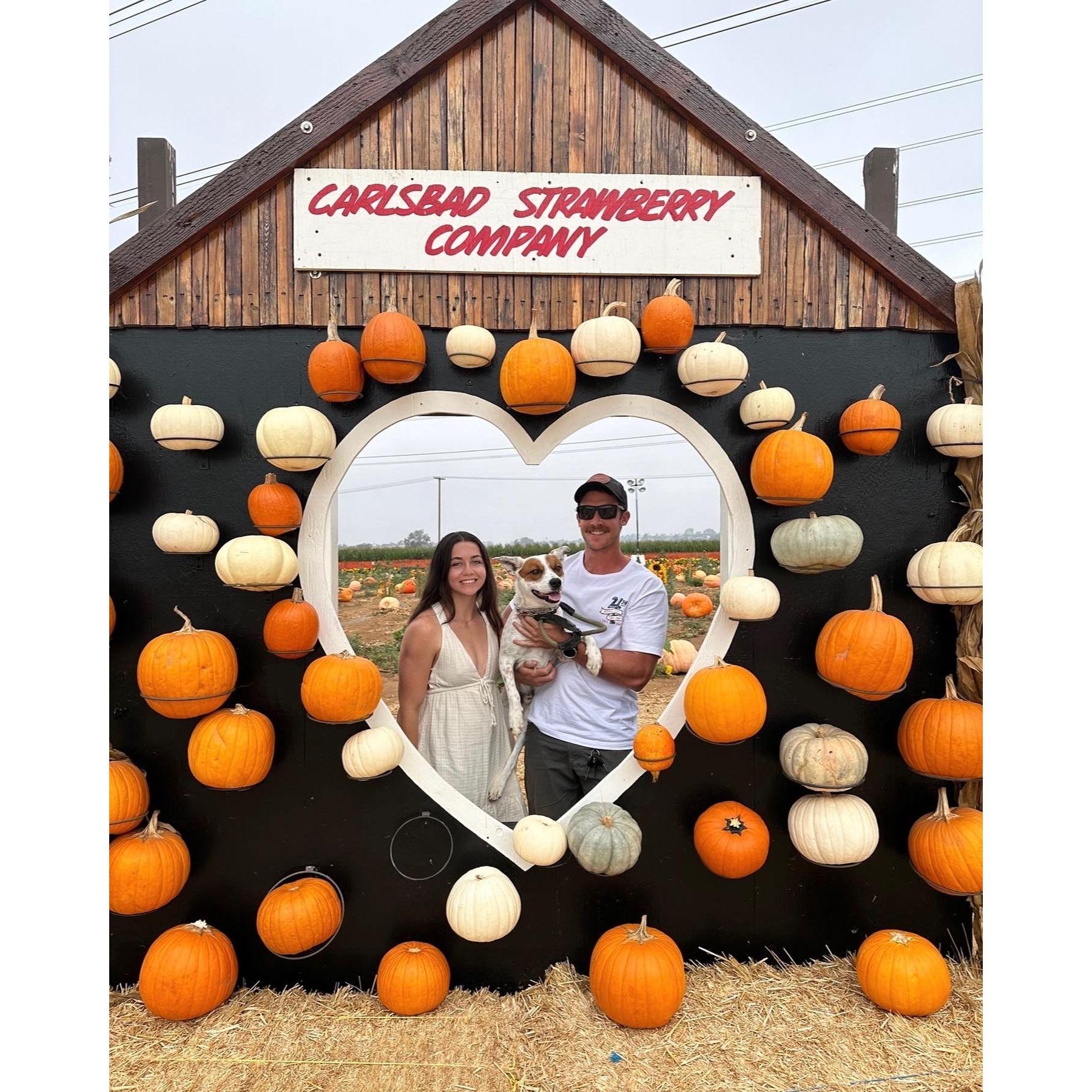 First Pumpkin Patch with our little man, Spud!