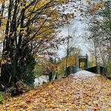 Centennial Trail