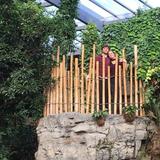 Omaha's Henry Doorly Zoo and Aquarium