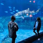 North Carolina Aquarium on Roanoke Island
