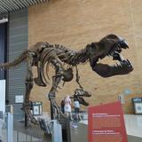 Science Museum of Minnesota