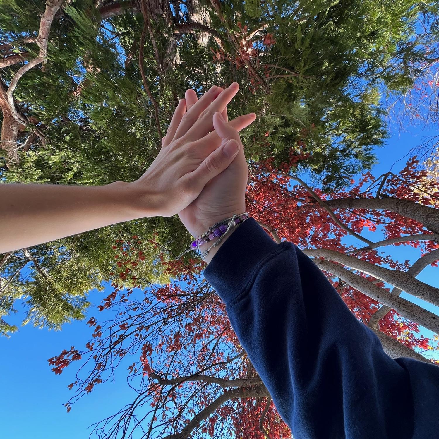 More aesthetic photos from the picnic they went on.