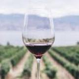 Wine Tasting