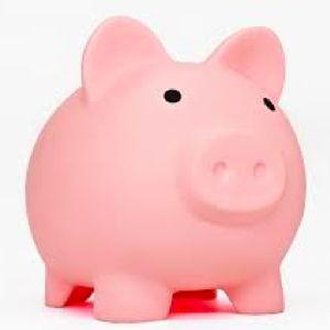 Our Newlywed Fund