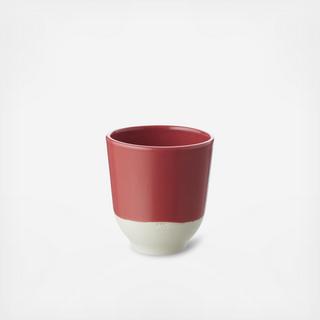 Color Lab Tea Cup, Set of 6