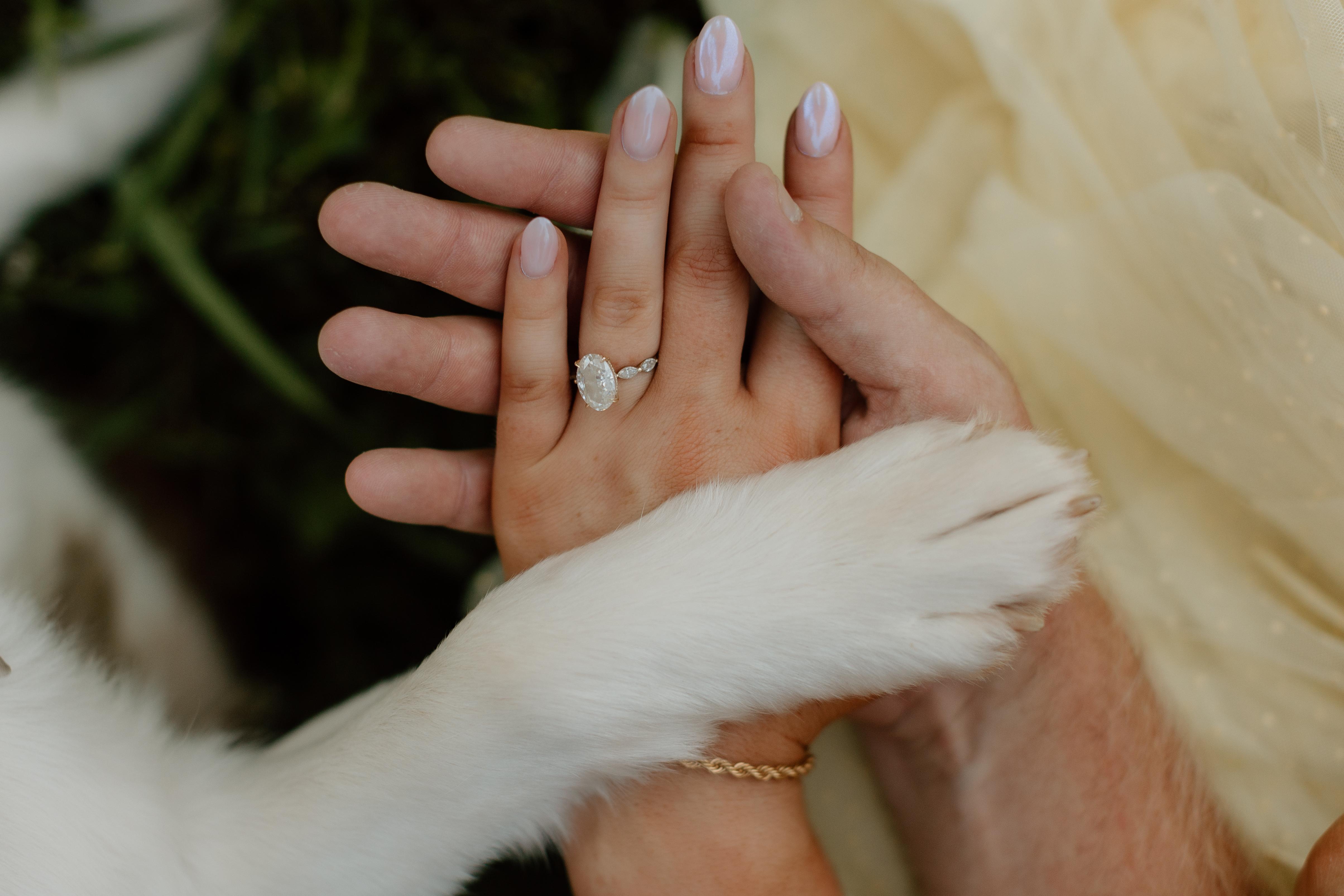 The Wedding Website of Mallorie Hatfield and Sam Kennedy