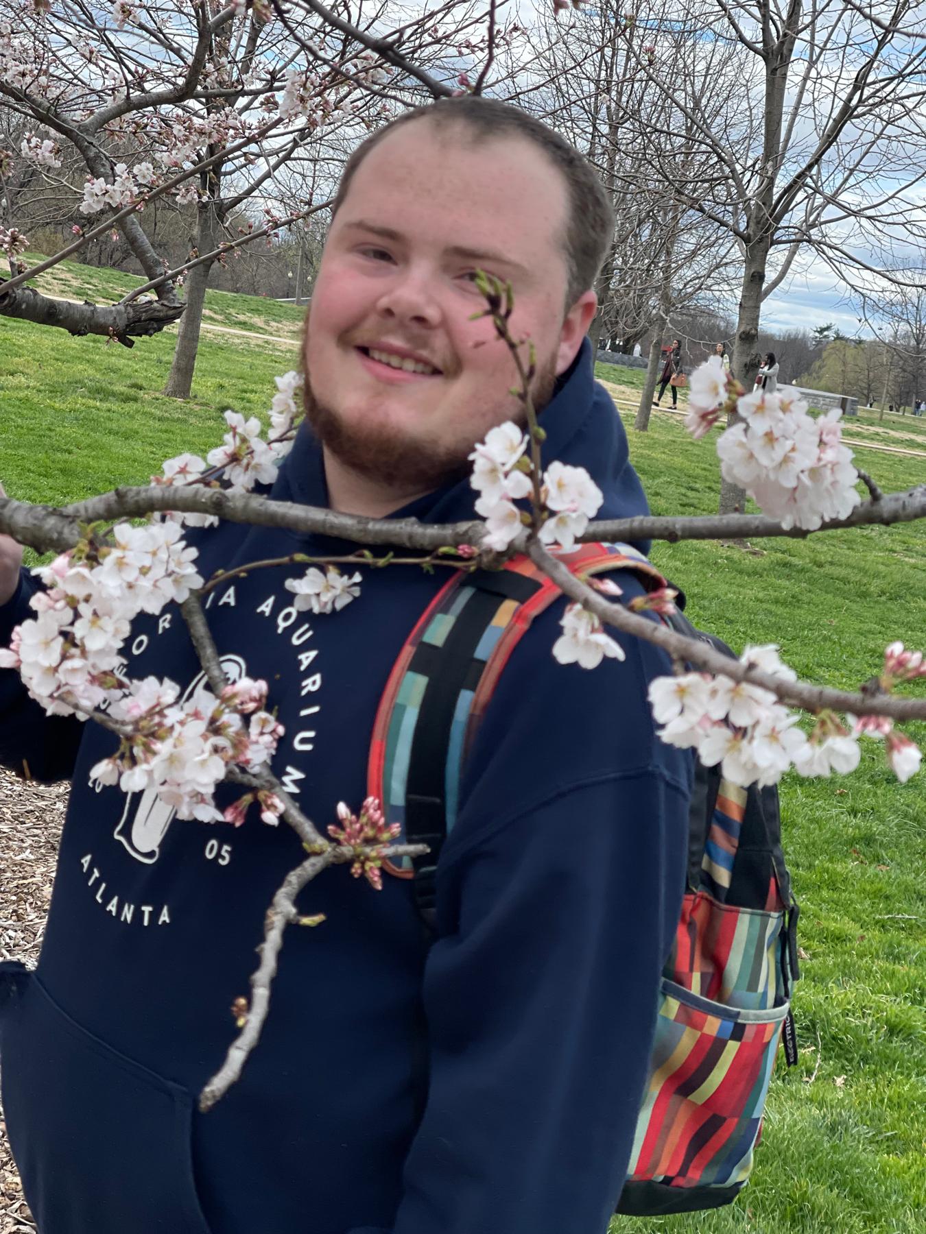 Cherry Blossom Festival