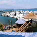 The Conch House Restaurant