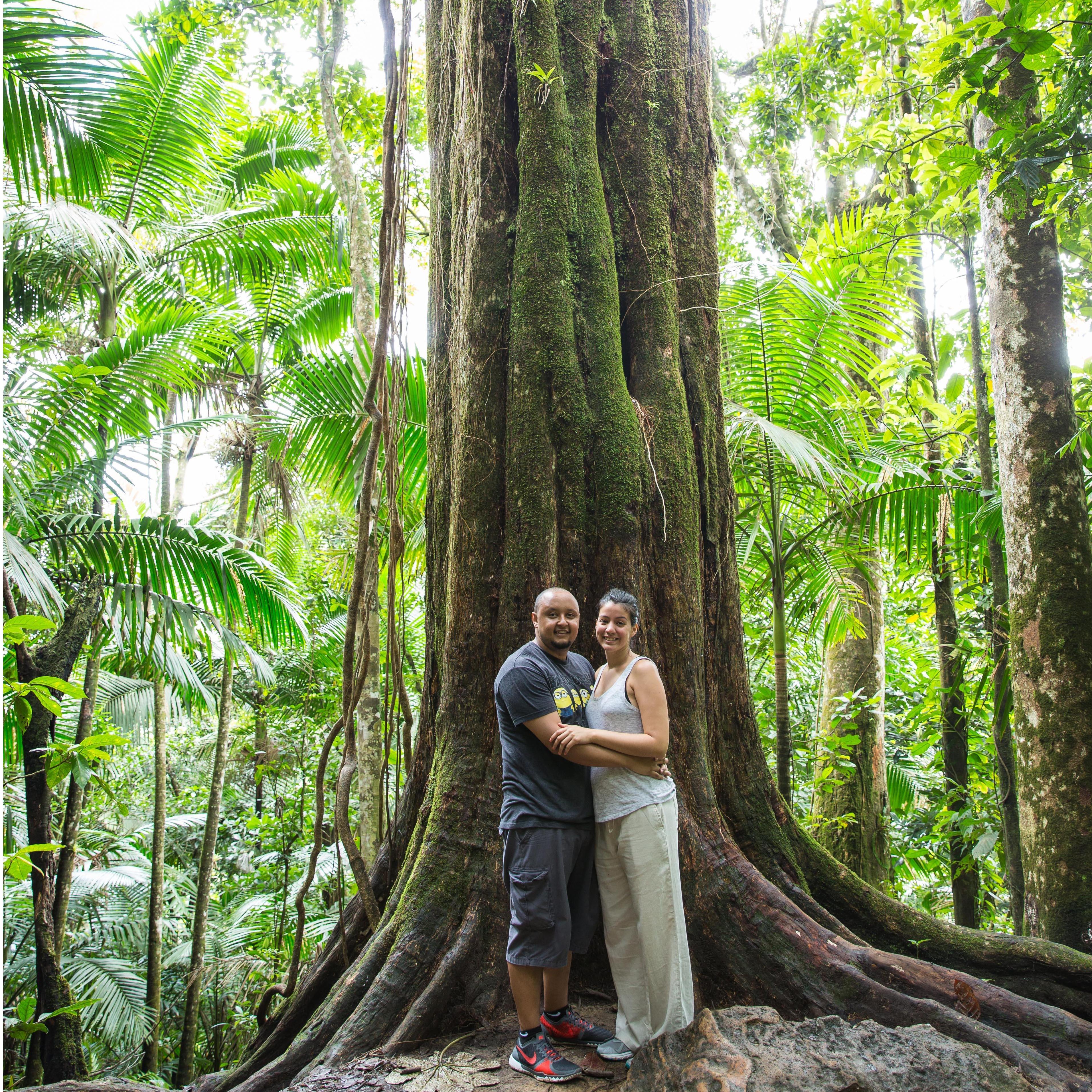 El Yunque, Puerto Rico March 2017
