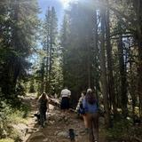 Hiking