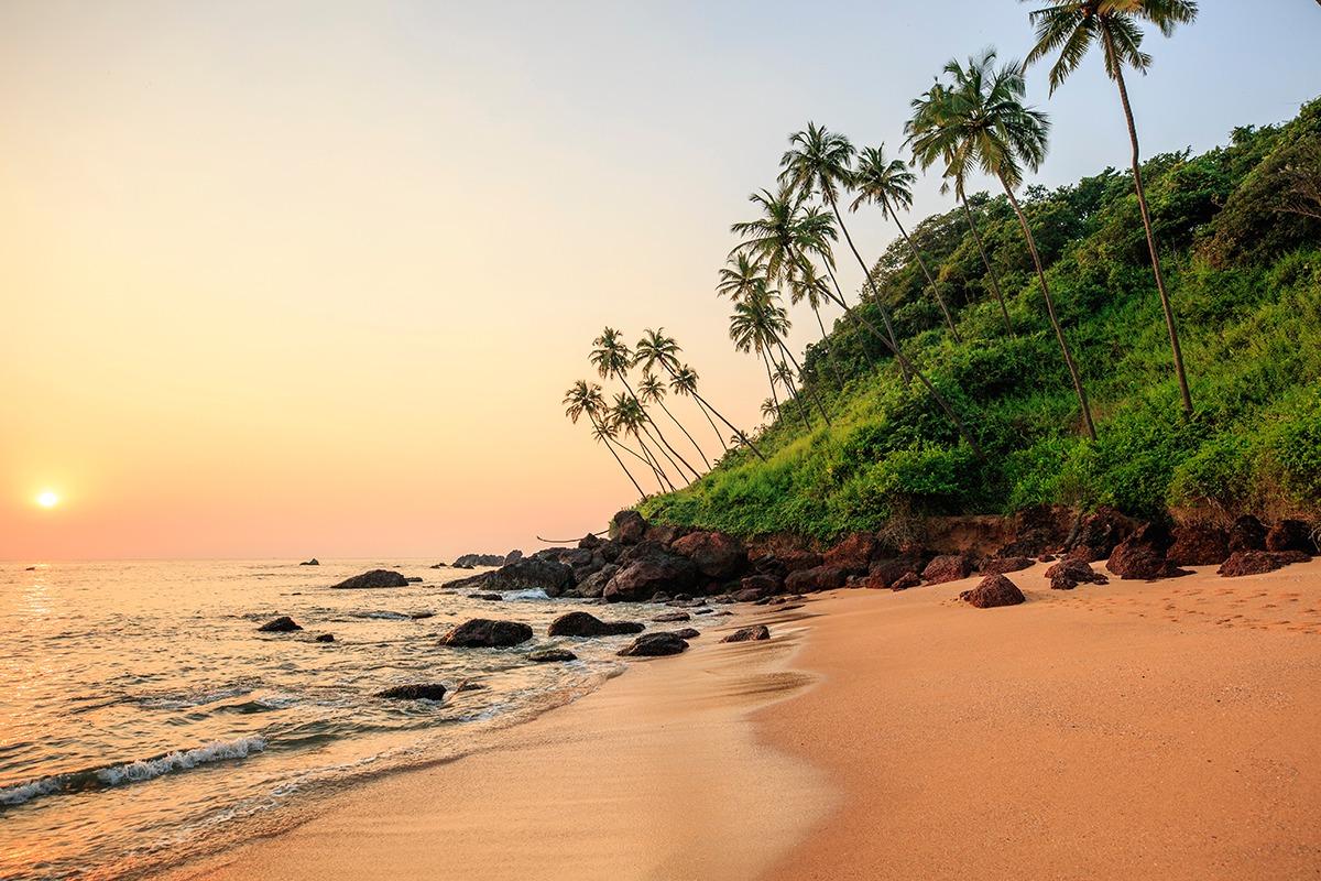 The Wedding Website of Dara Schafer and Desmond Nayak