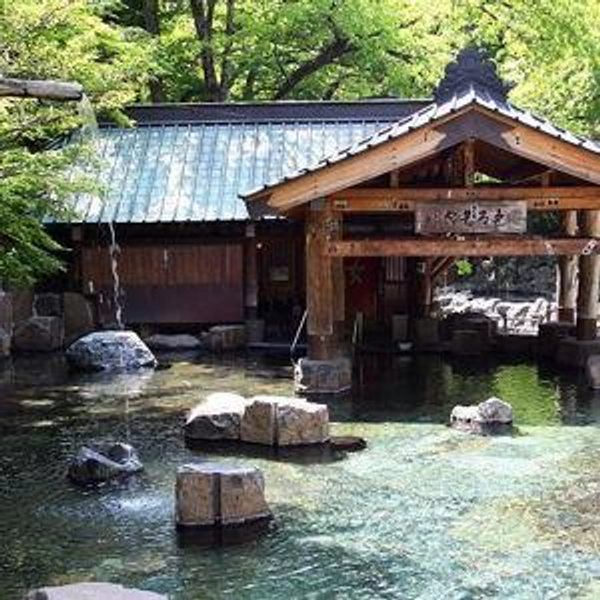 Ryokan Stay (traditional inn with onsen + dinner)