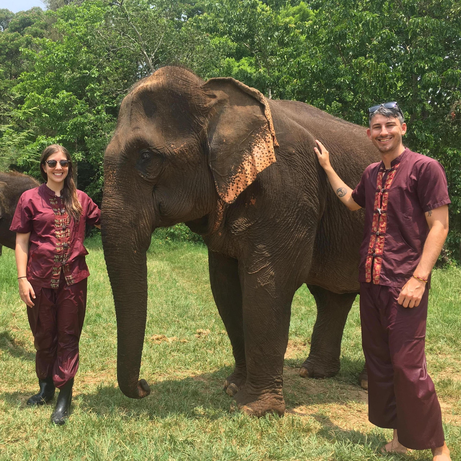 Hanging with elephants at a sanctuary Chiang Mai, Thailand April 2017