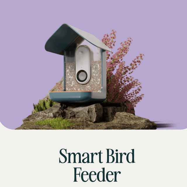 Bird Buddy : Smart Bird Feeder