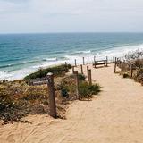 Torrey Pines State Natural Reserve