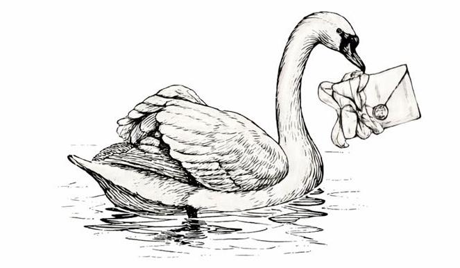 The Wedding Website of Michael Stumpo and Brooke Dotson