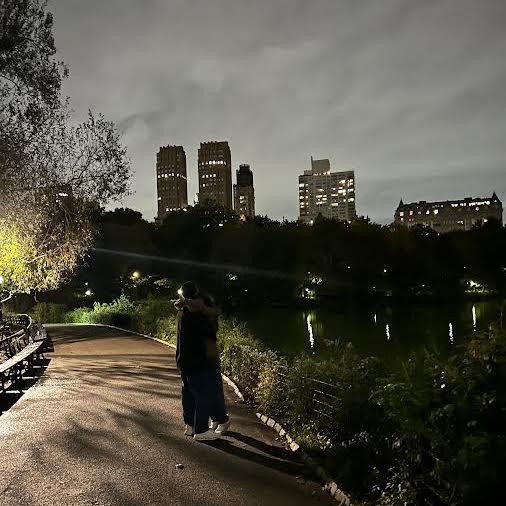 Our engagement in Central Park