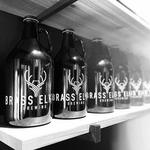 Brass Elk Brewing