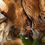 Natural Cueva De Los Guacharos National Park