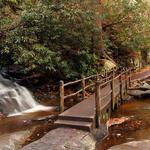 Laurel Falls Trail