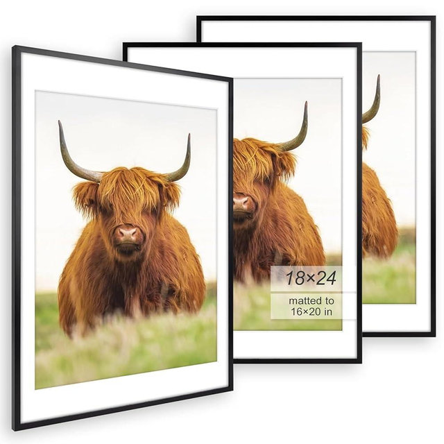 Golden State Art 18x24 Picture Frame Set of 3 - Black Thin Border - Display Photo 16x20 with Mat or 18x24 Without Mat - Poster Frame for Wall Hanging Horizontal and Vertical