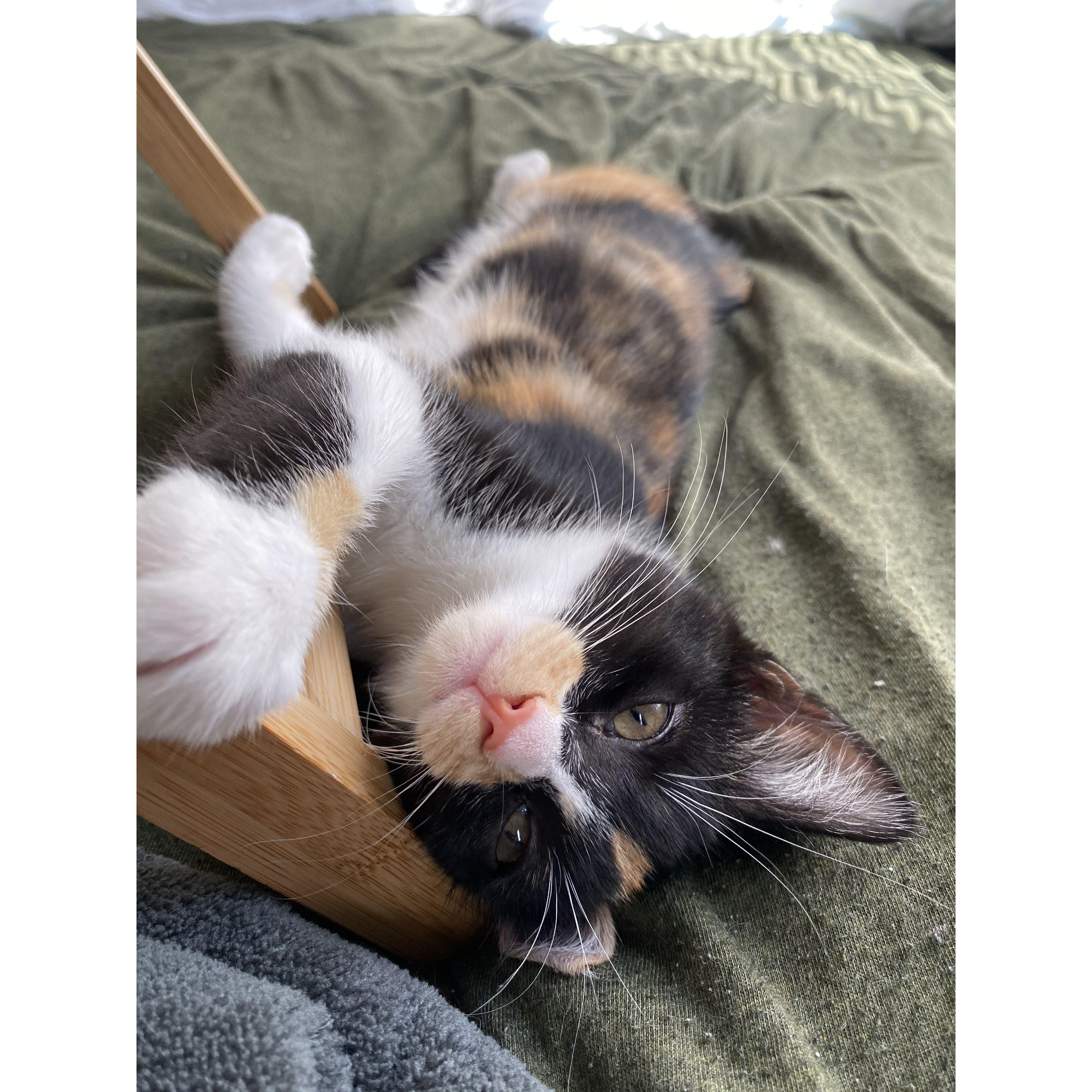 Leela