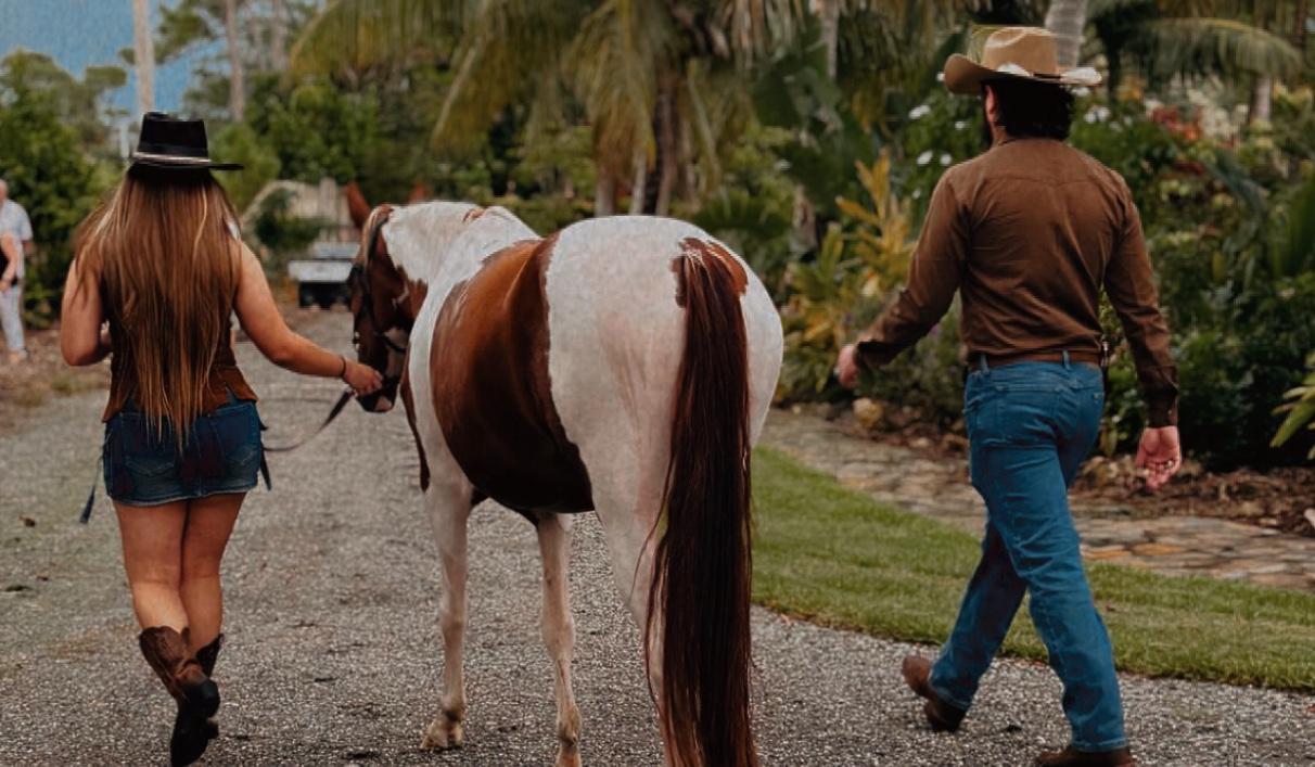 Hero Slideshow Image 0