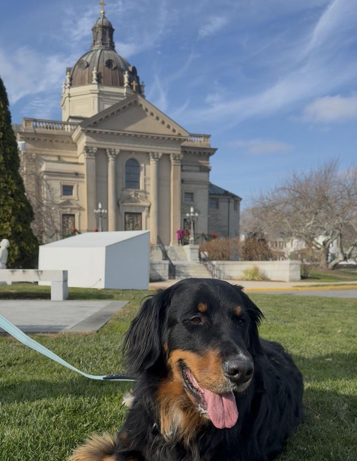 The Wedding Website of Shauna Barry and Conor Leddy