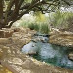 Riparian Preserve at Water Ranch