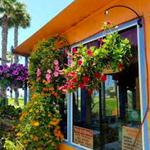 La Playita Mexican Cafe