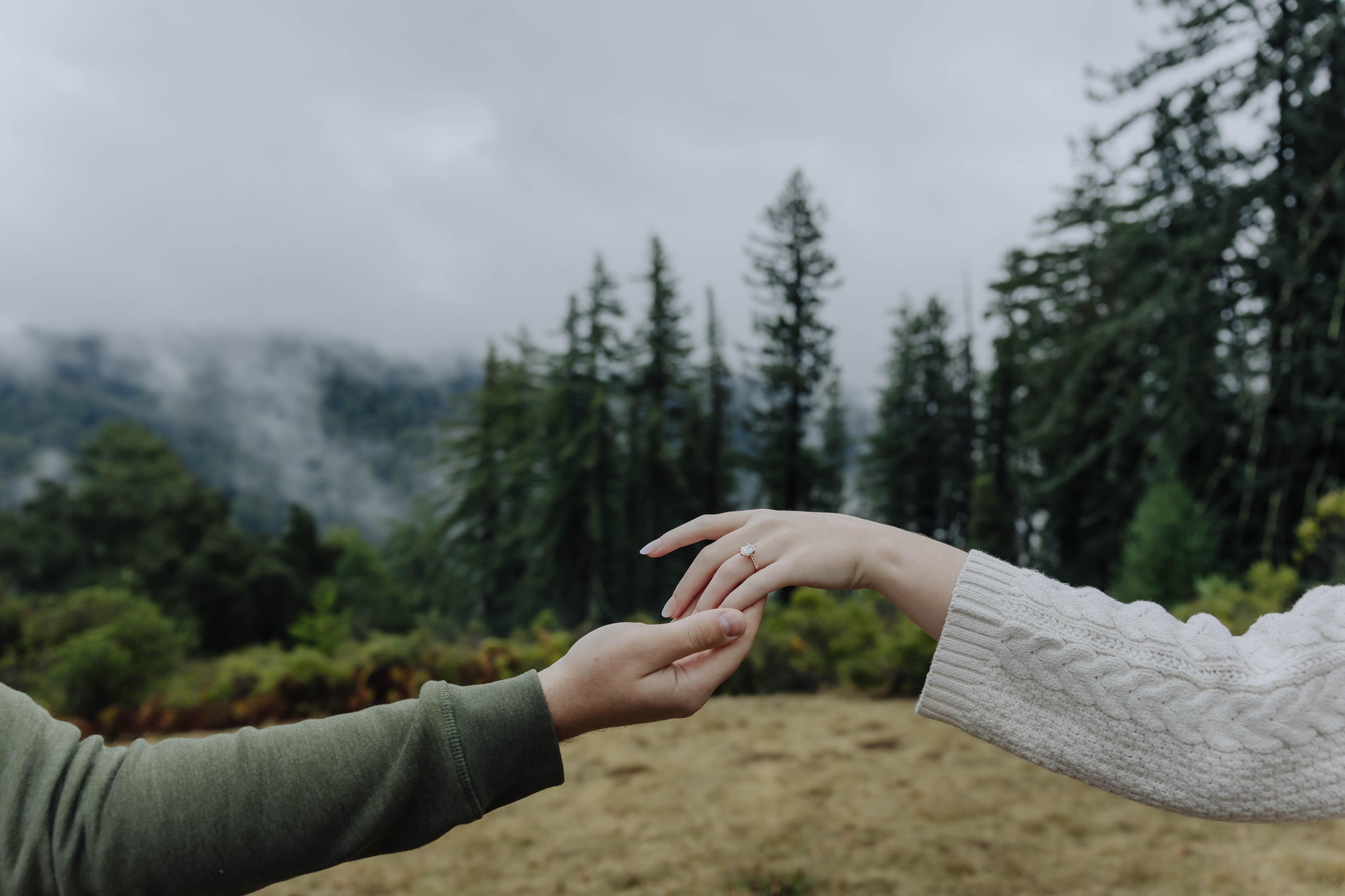 The Wedding Website of Leah Elliott and William Bosch