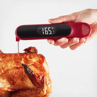 Precision Quick-Read Thermometer