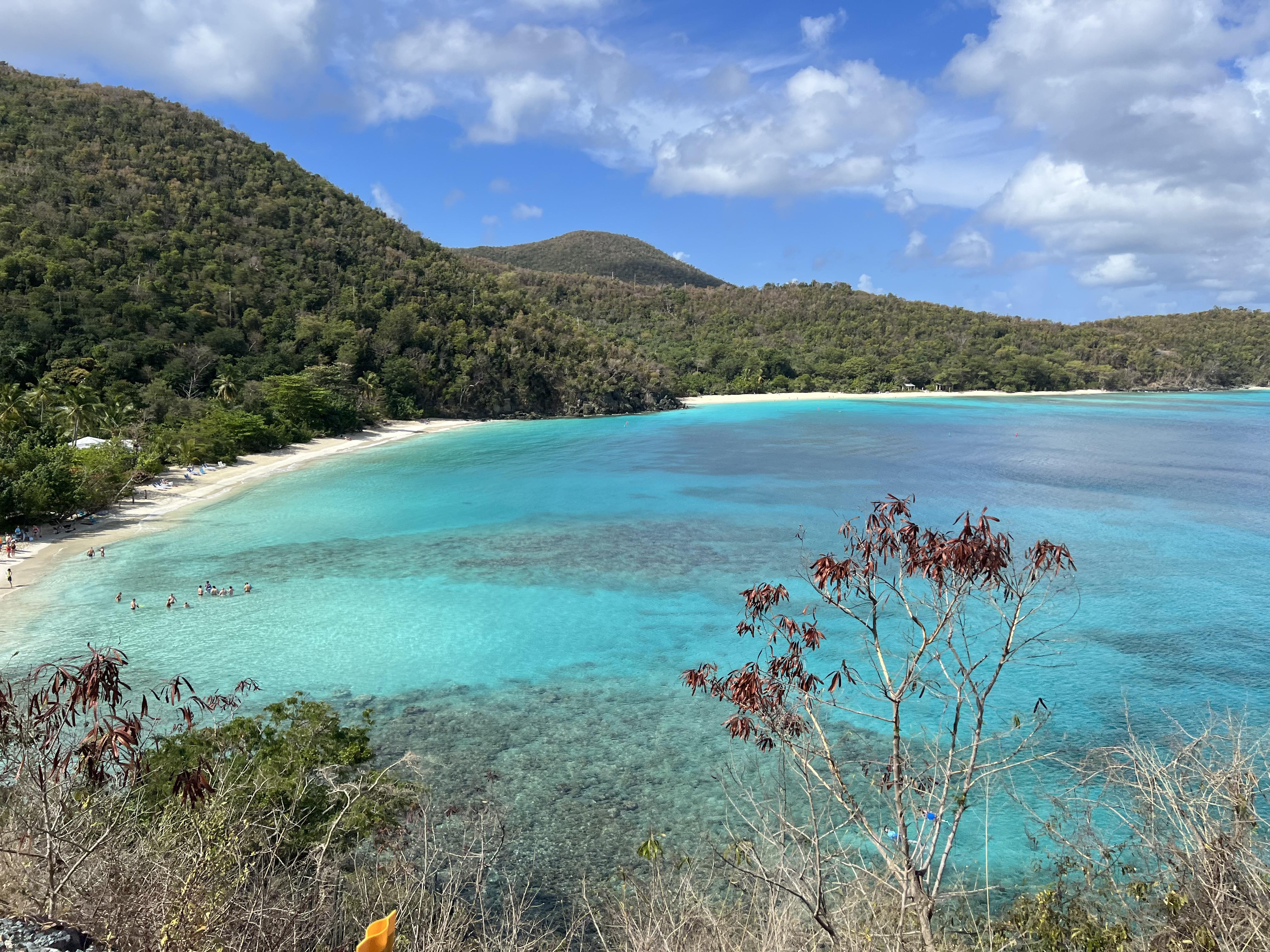 2f8b788e-78f9-4c54-8320-09ca634e66d3