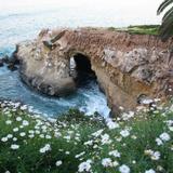 La Jolla Cove