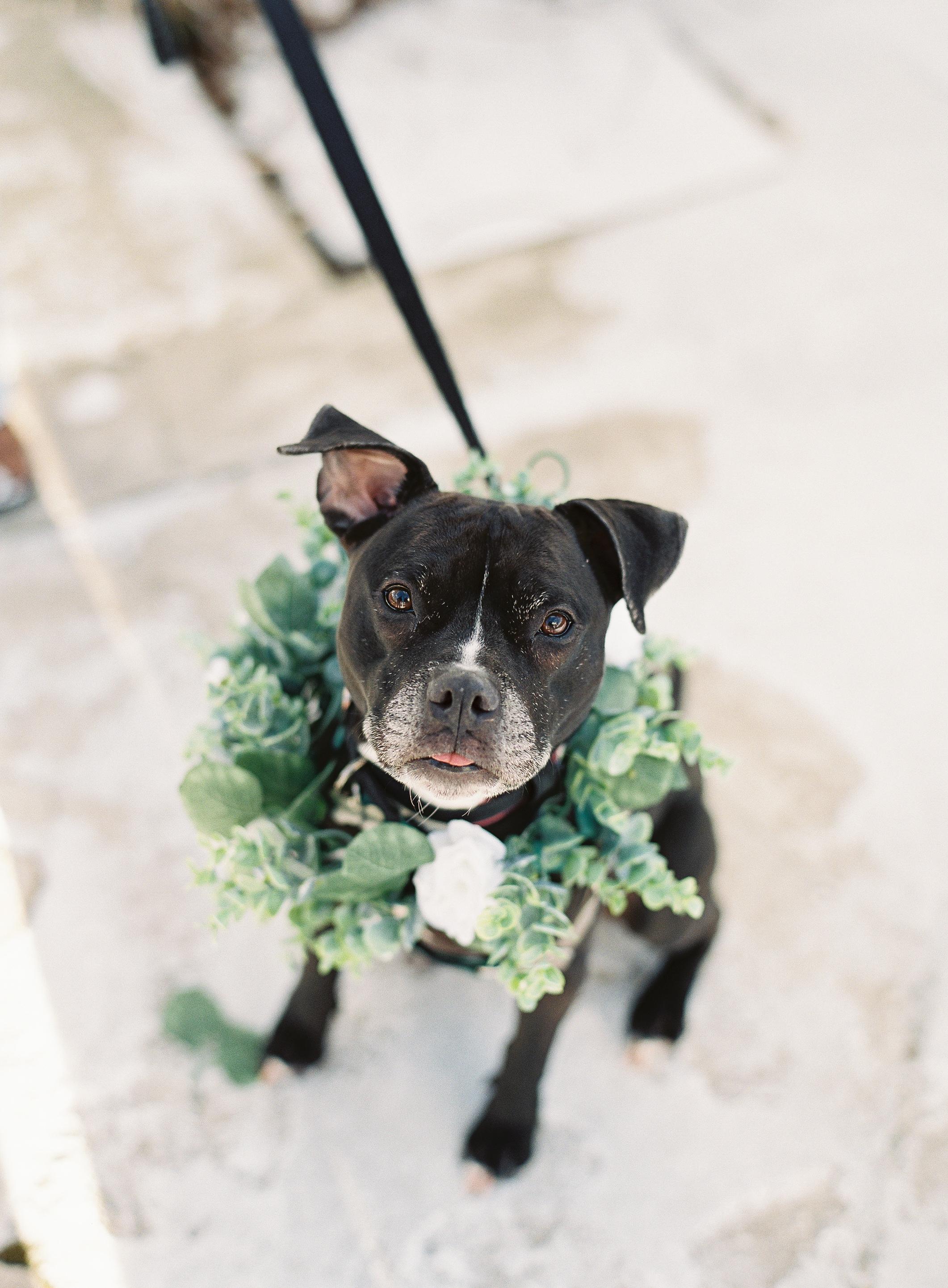 The Wedding Website of Larisa Bainton and Kevin Hernandez